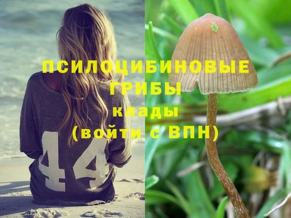 ALPHA-PVP Алексин