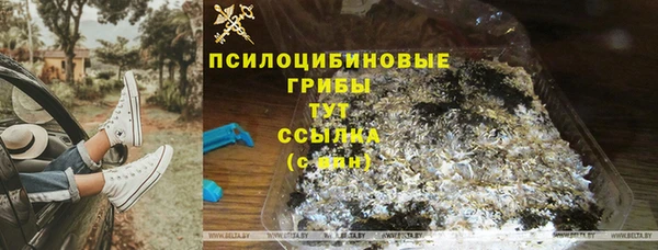 ПСИЛОЦИБИНОВЫЕ ГРИБЫ Абдулино