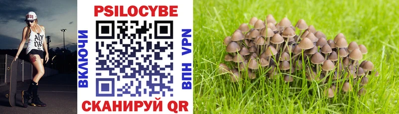 Псилоцибиновые грибы Psilocybine cubensis наркошоп Петров Вал